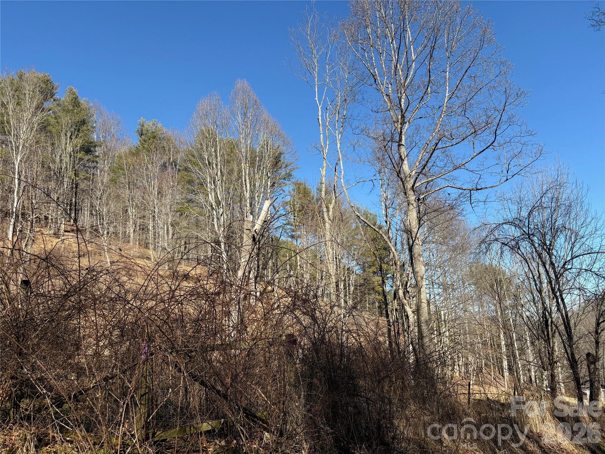 9999 Bee Log Road Burnsville NC 28714