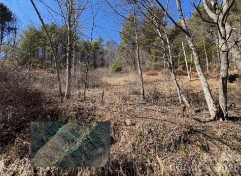9999 Bee Log Road Burnsville NC 28714