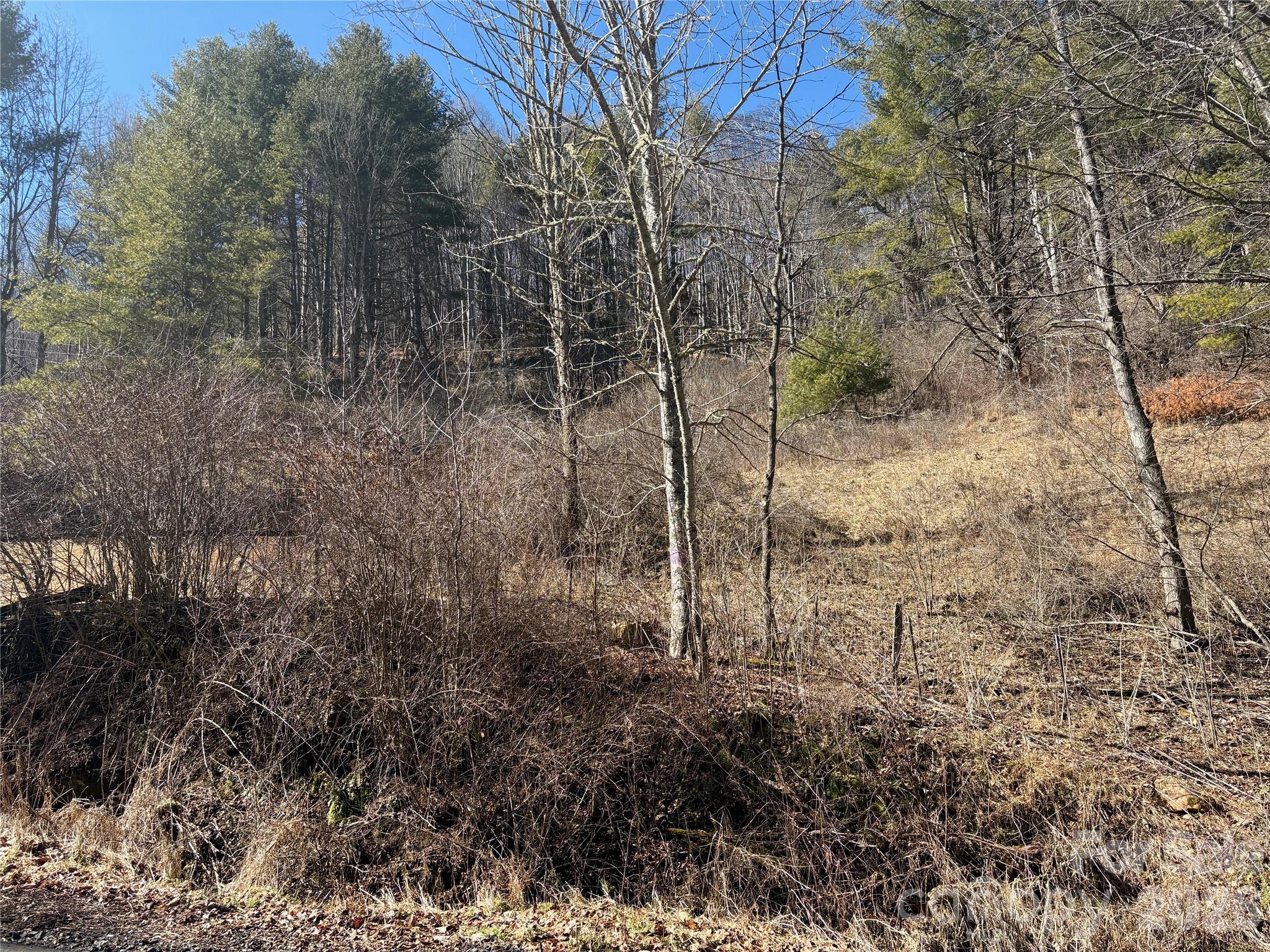 9999 Bee Log Road Burnsville NC 28714
