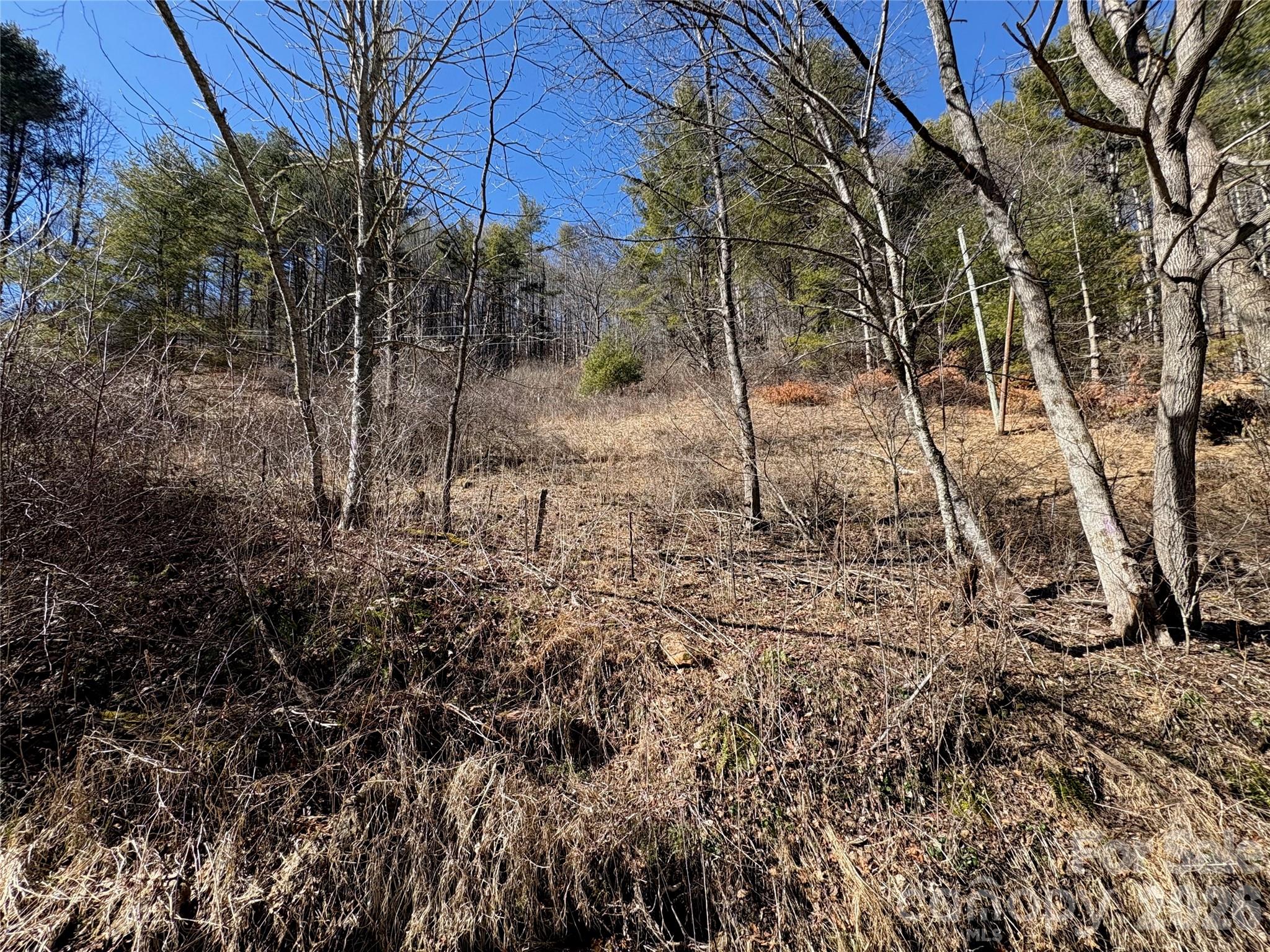 9999 Bee Log Road Burnsville NC 28714