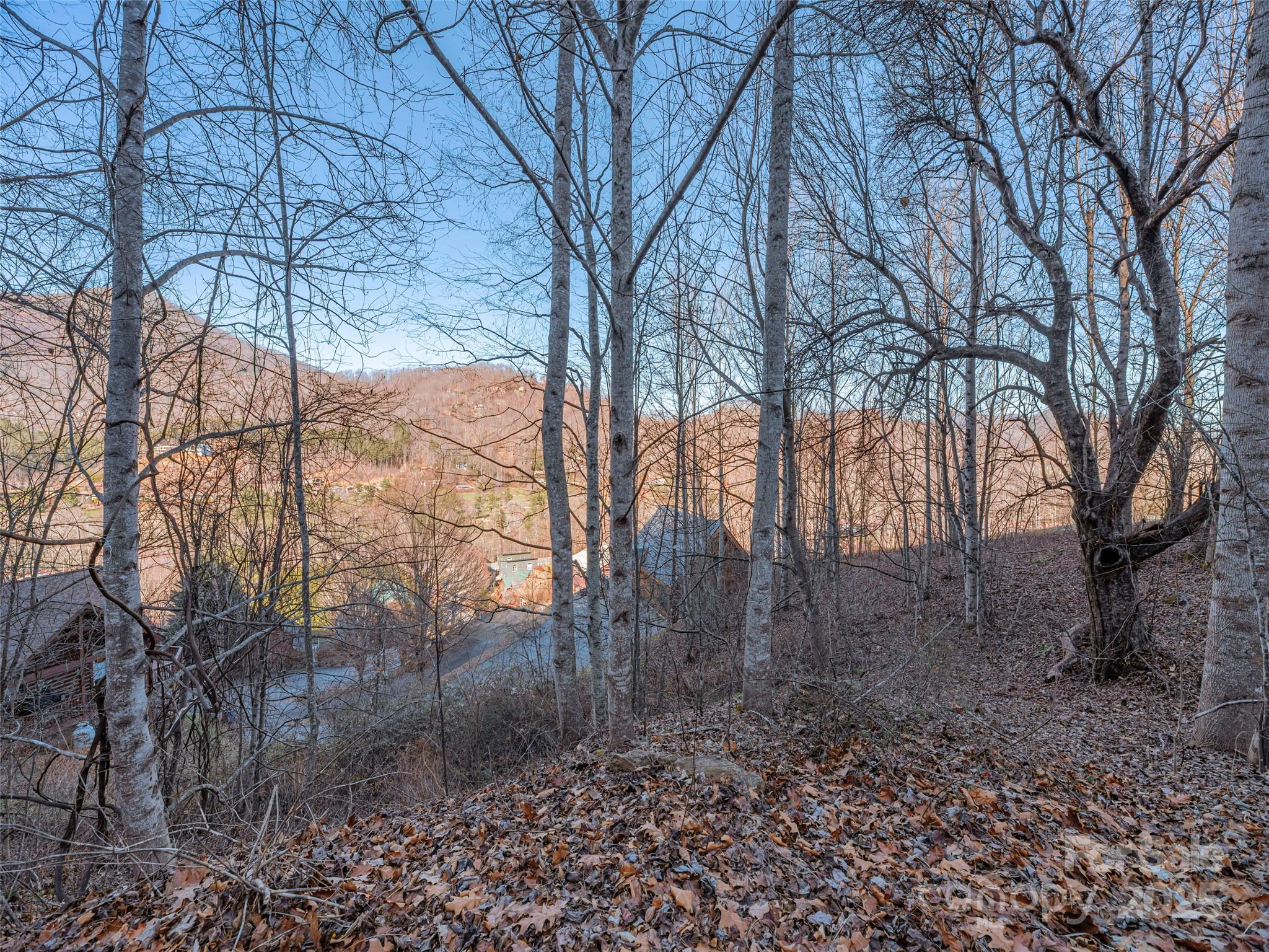 000 Appalachian Trail Maggie Valley NC 28751