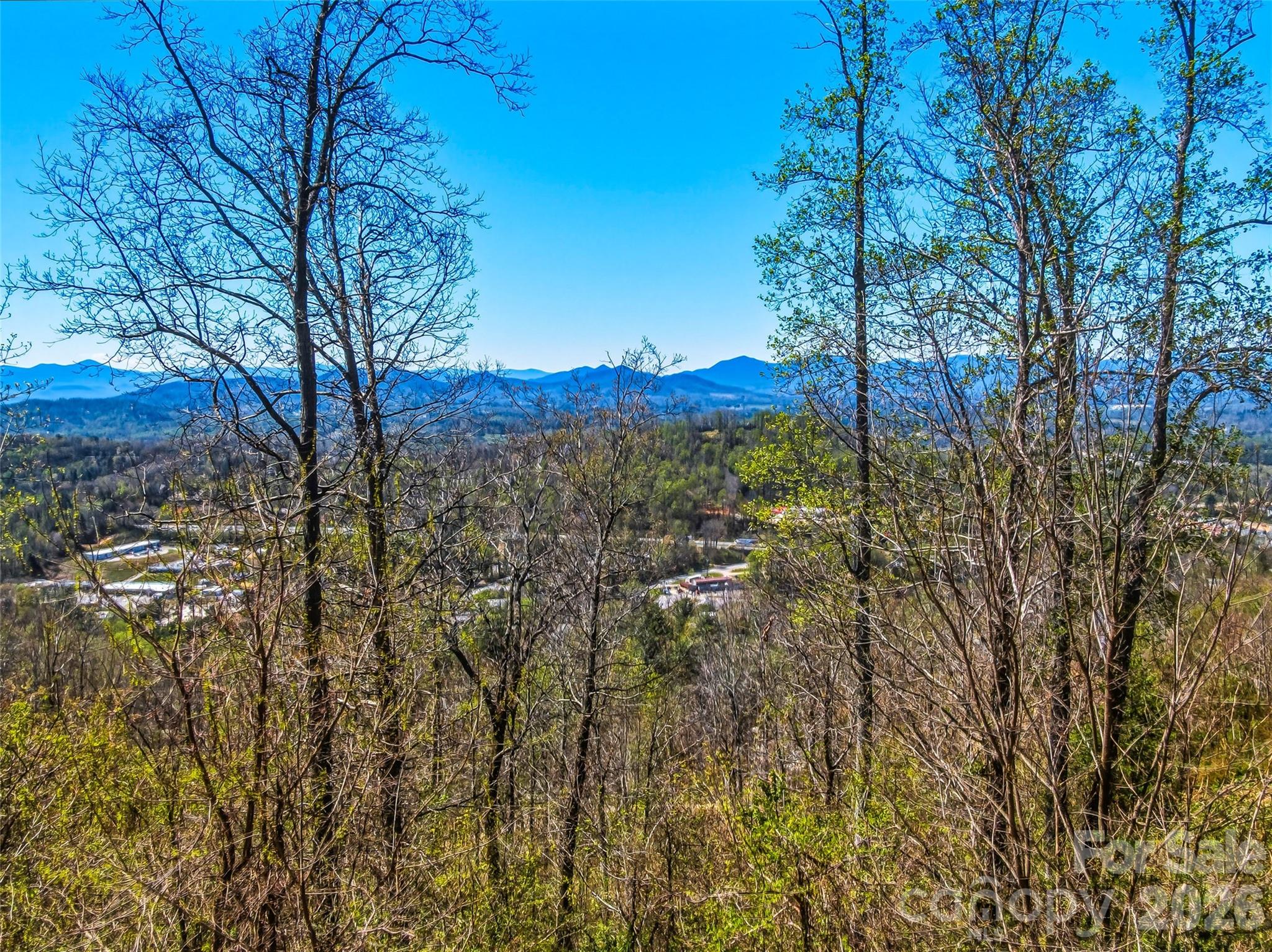 5 Soaring Hawk View Asheville NC 28804