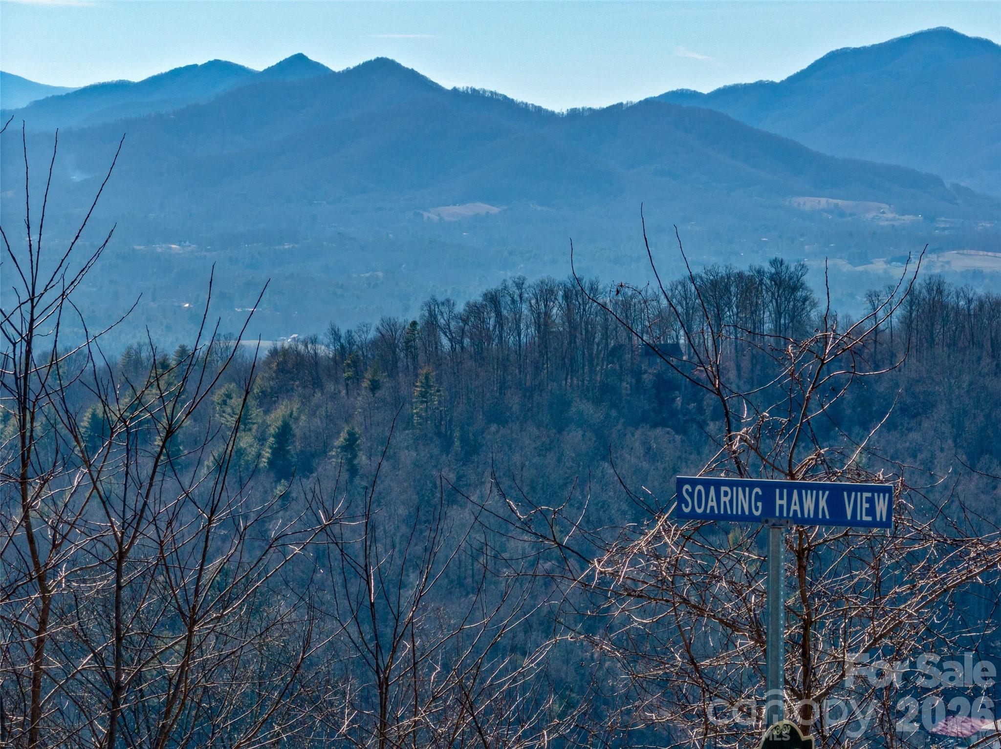 5 Soaring Hawk View Asheville NC 28804