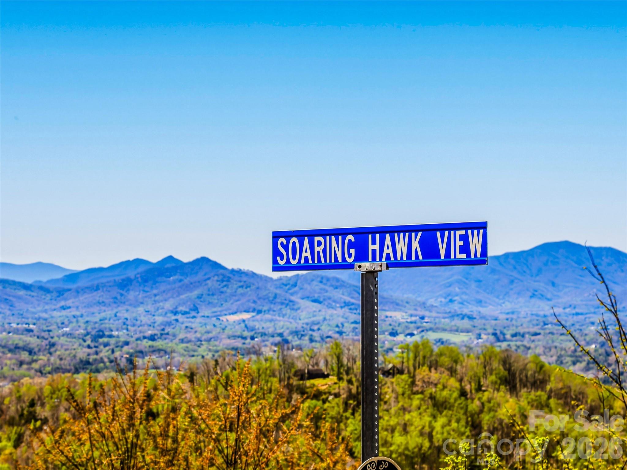 5 Soaring Hawk View Asheville NC 28804