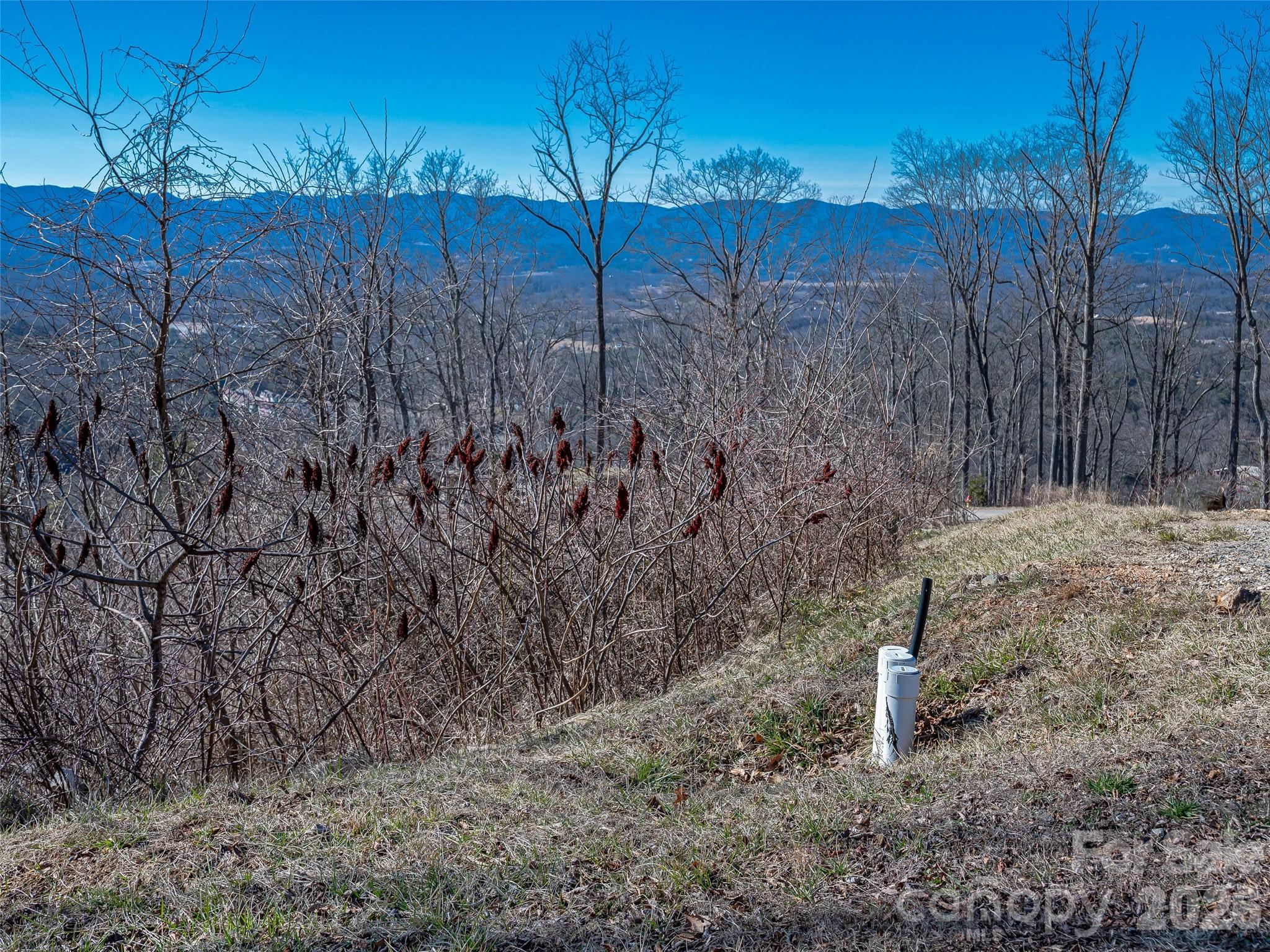 5 Soaring Hawk View Asheville NC 28804