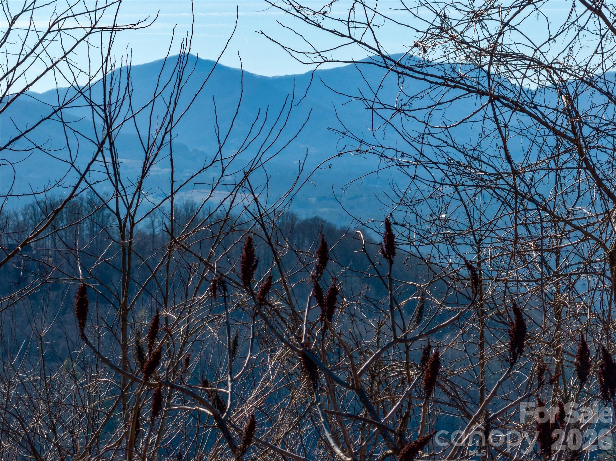 5 Soaring Hawk View Asheville NC 28804