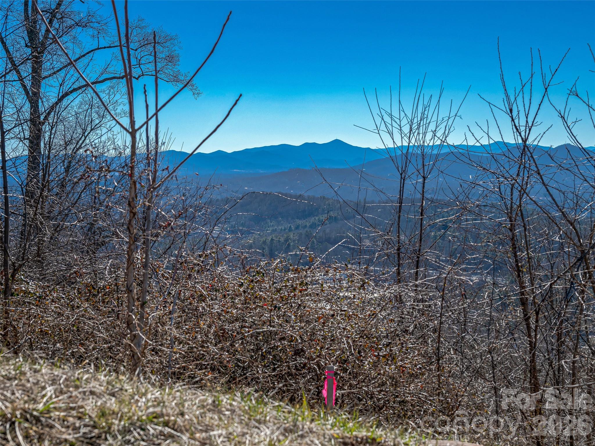 5 Soaring Hawk View Asheville NC 28804