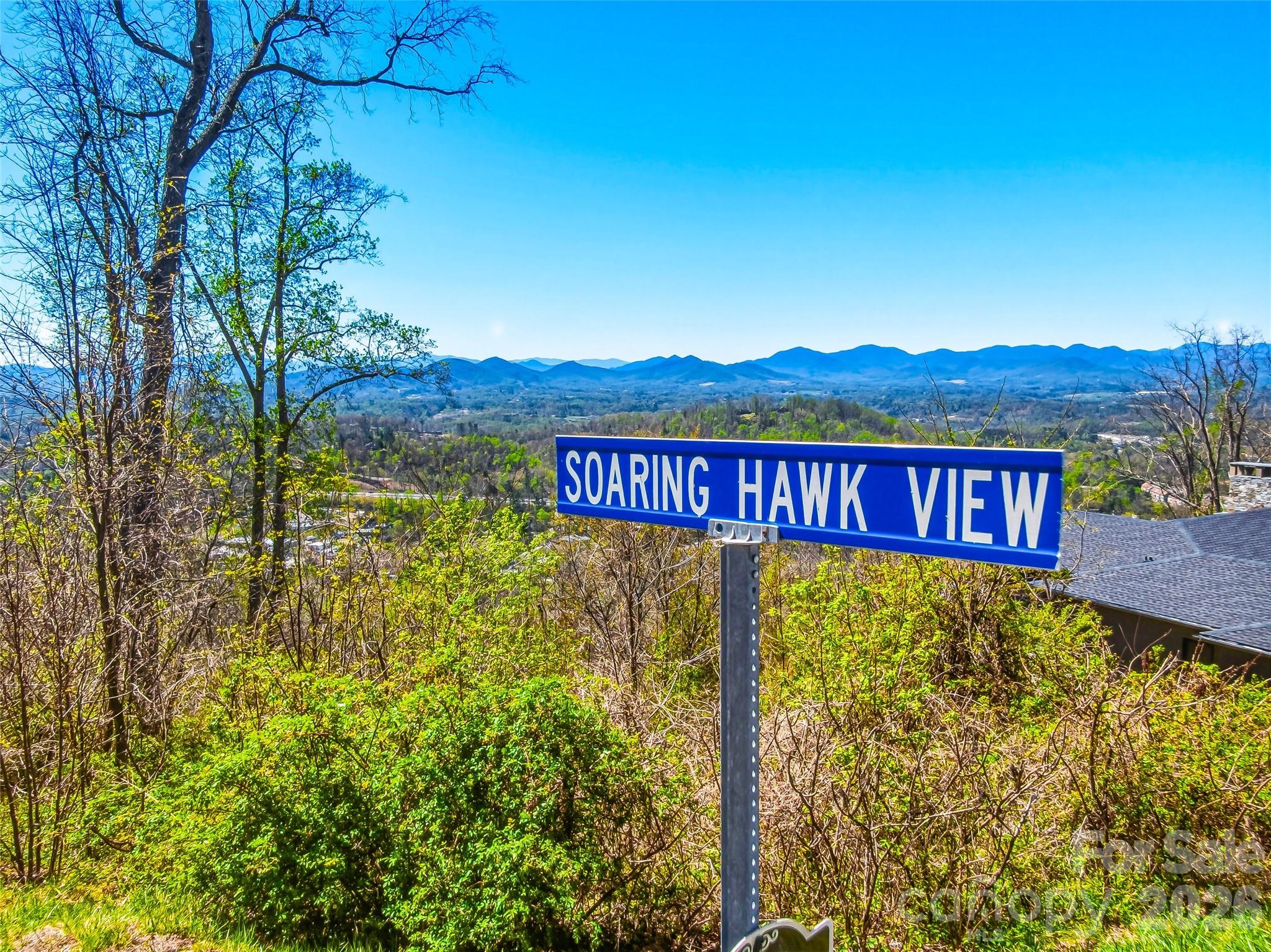 5 Soaring Hawk View Asheville NC 28804