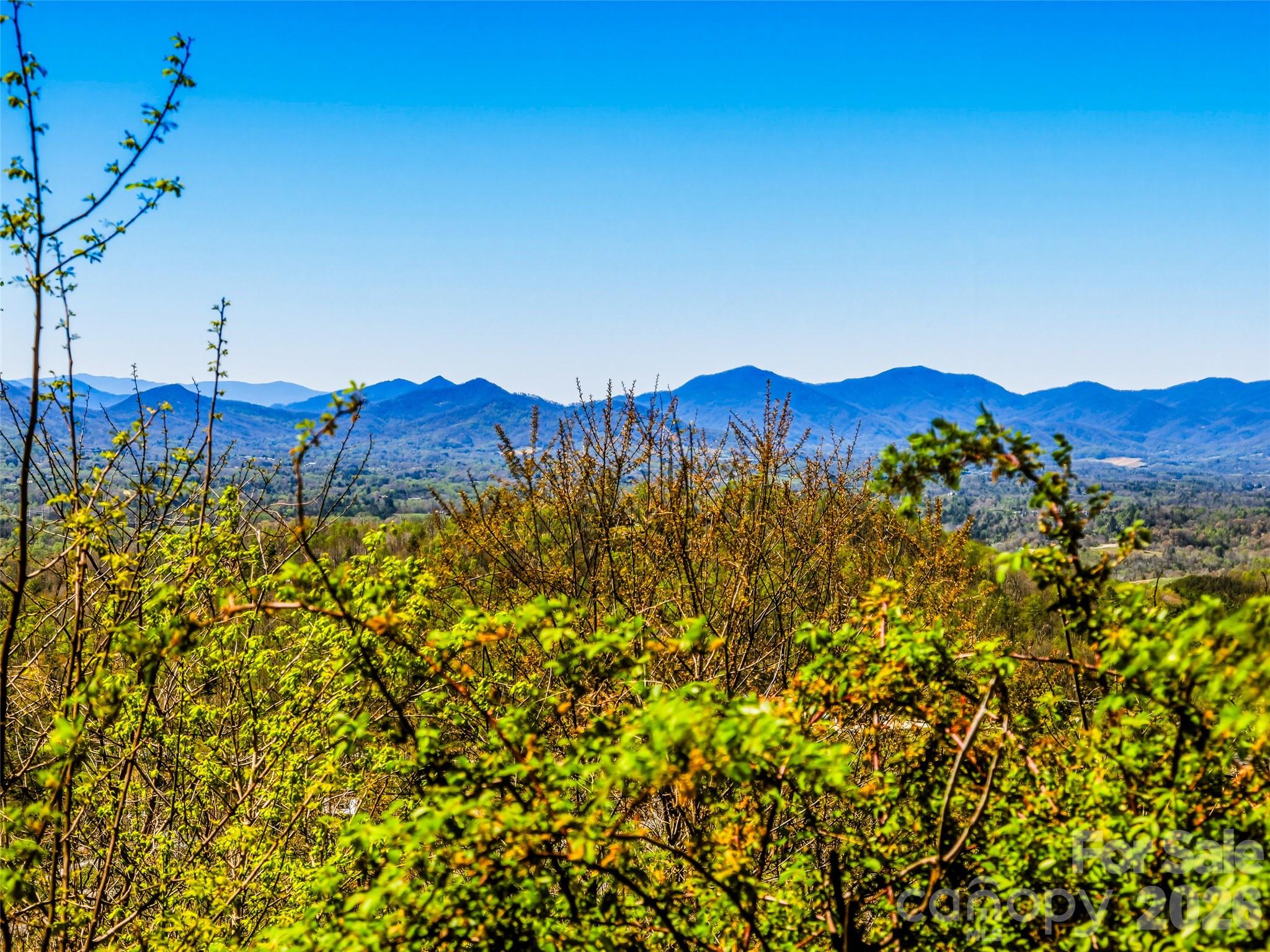 5 Soaring Hawk View Asheville NC 28804