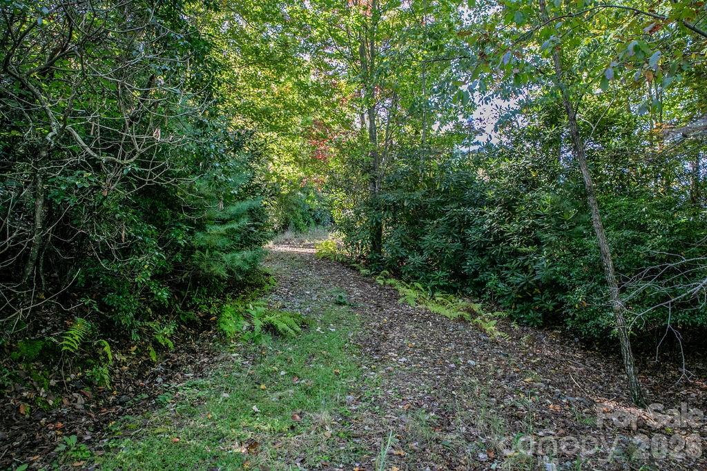 Tbd Rock Face Road Brevard NC 28712