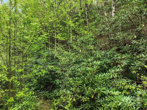 0 Bird Creek Estates Road Black Mountain NC 28711