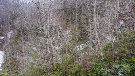 0 Bird Creek Estates Road Black Mountain NC 28711