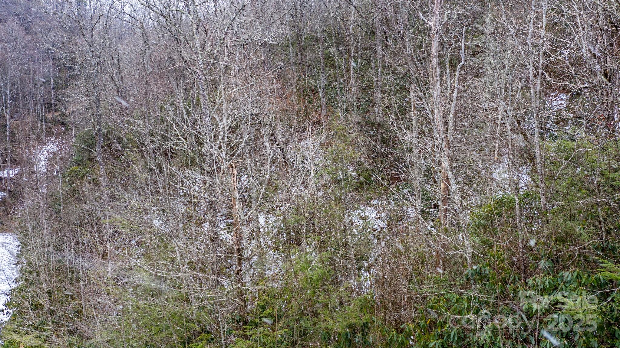 0 Bird Creek Estates Road Black Mountain NC 28711