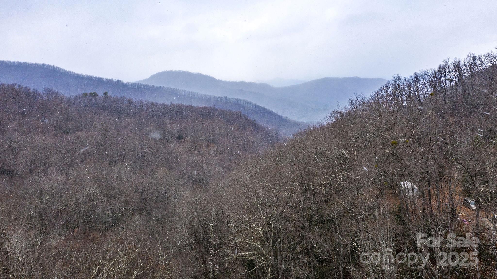 0 Bird Creek Estates Road Black Mountain NC 28711