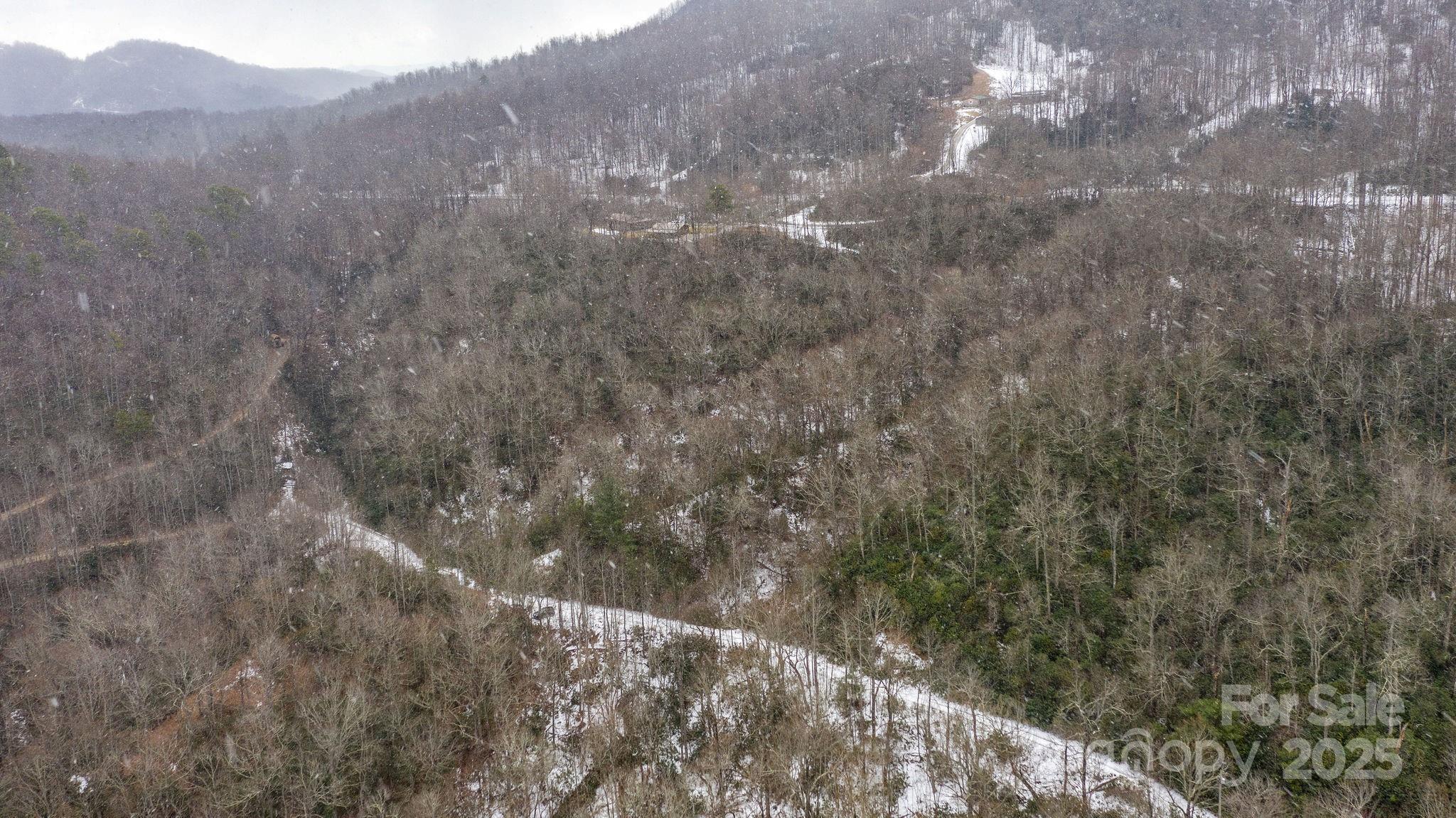 0 Bird Creek Estates Road Black Mountain NC 28711