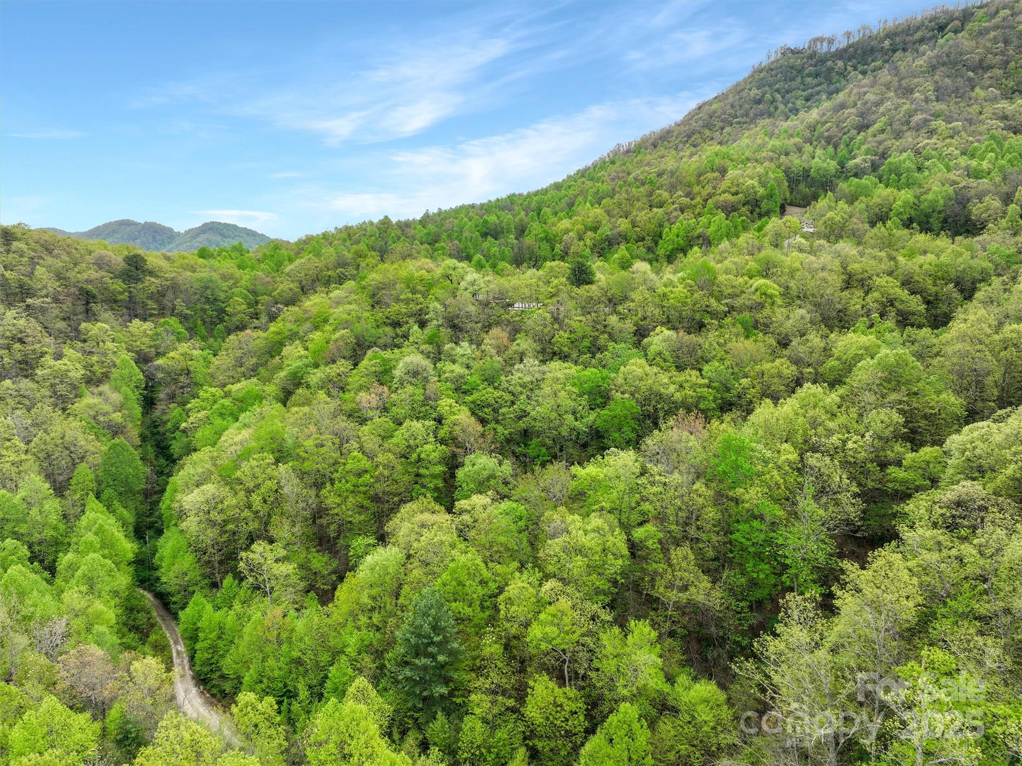 0 Bird Creek Estates Road Black Mountain NC 28711