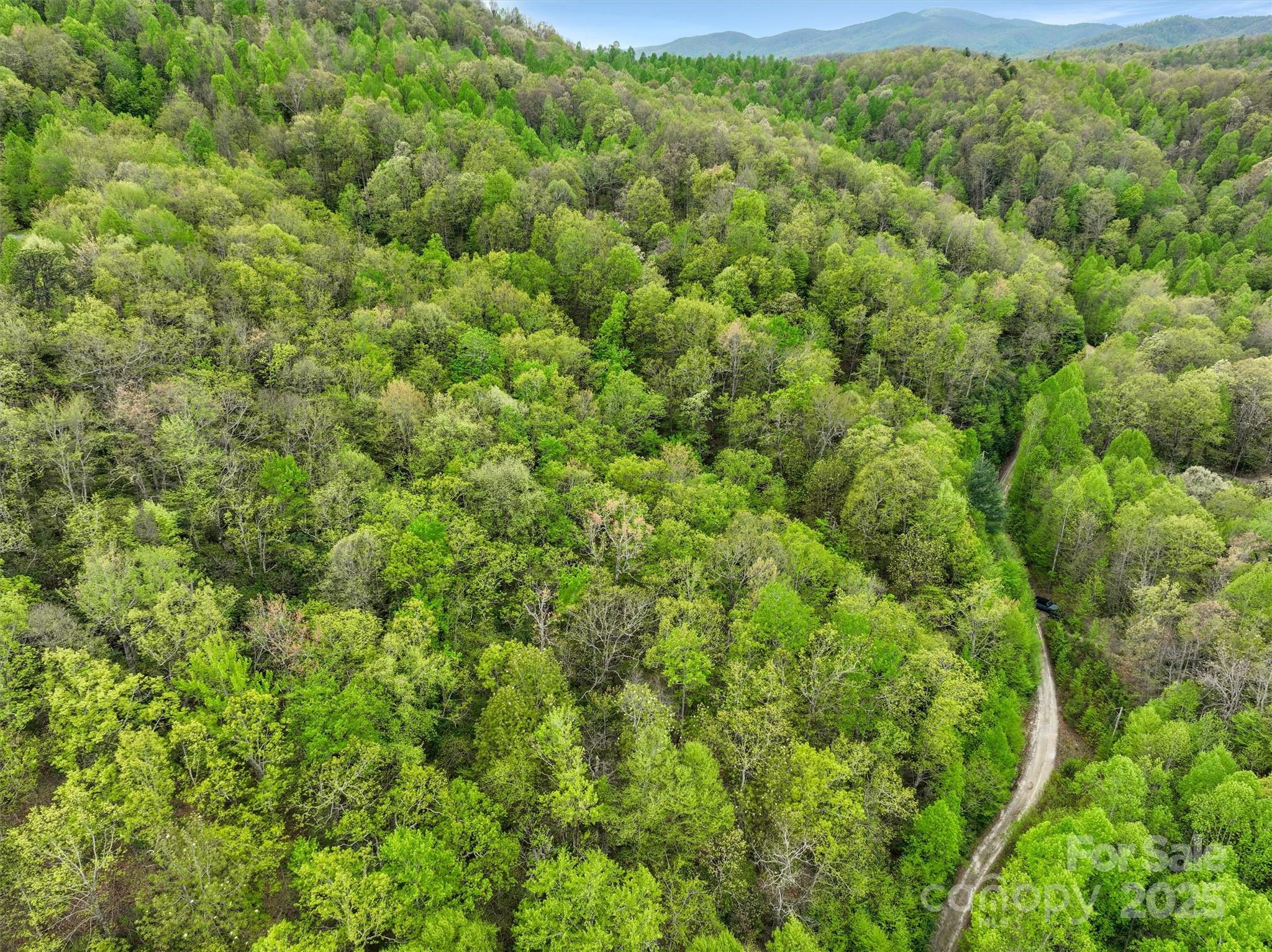 0 Bird Creek Estates Road Black Mountain NC 28711