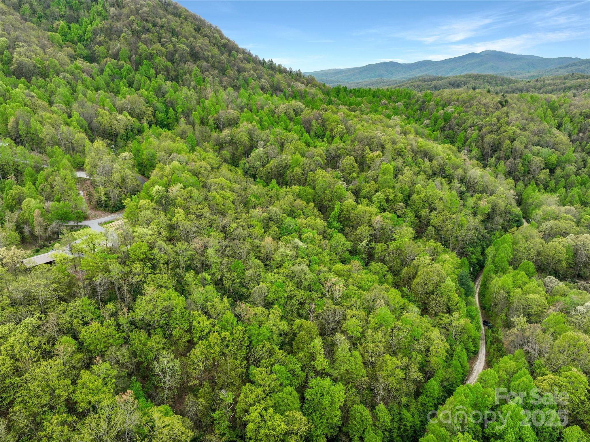 0 Bird Creek Estates Road Black Mountain NC 28711
