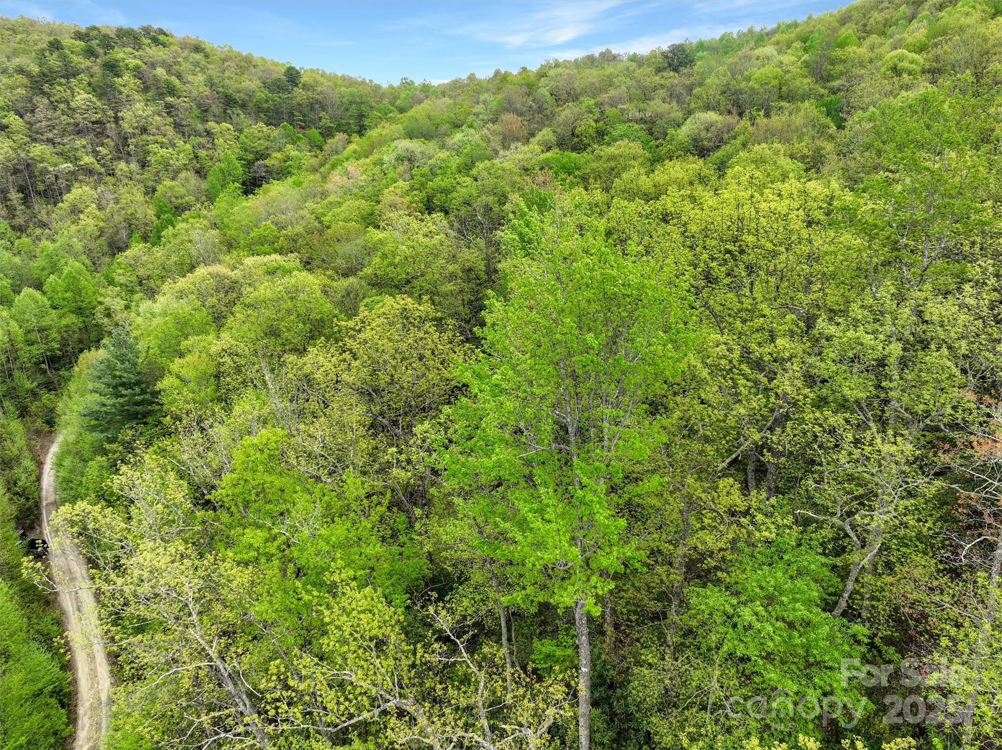 0 Bird Creek Estates Road Black Mountain NC 28711