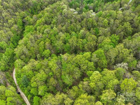 0 Bird Creek Estates Road Black Mountain NC 28711
