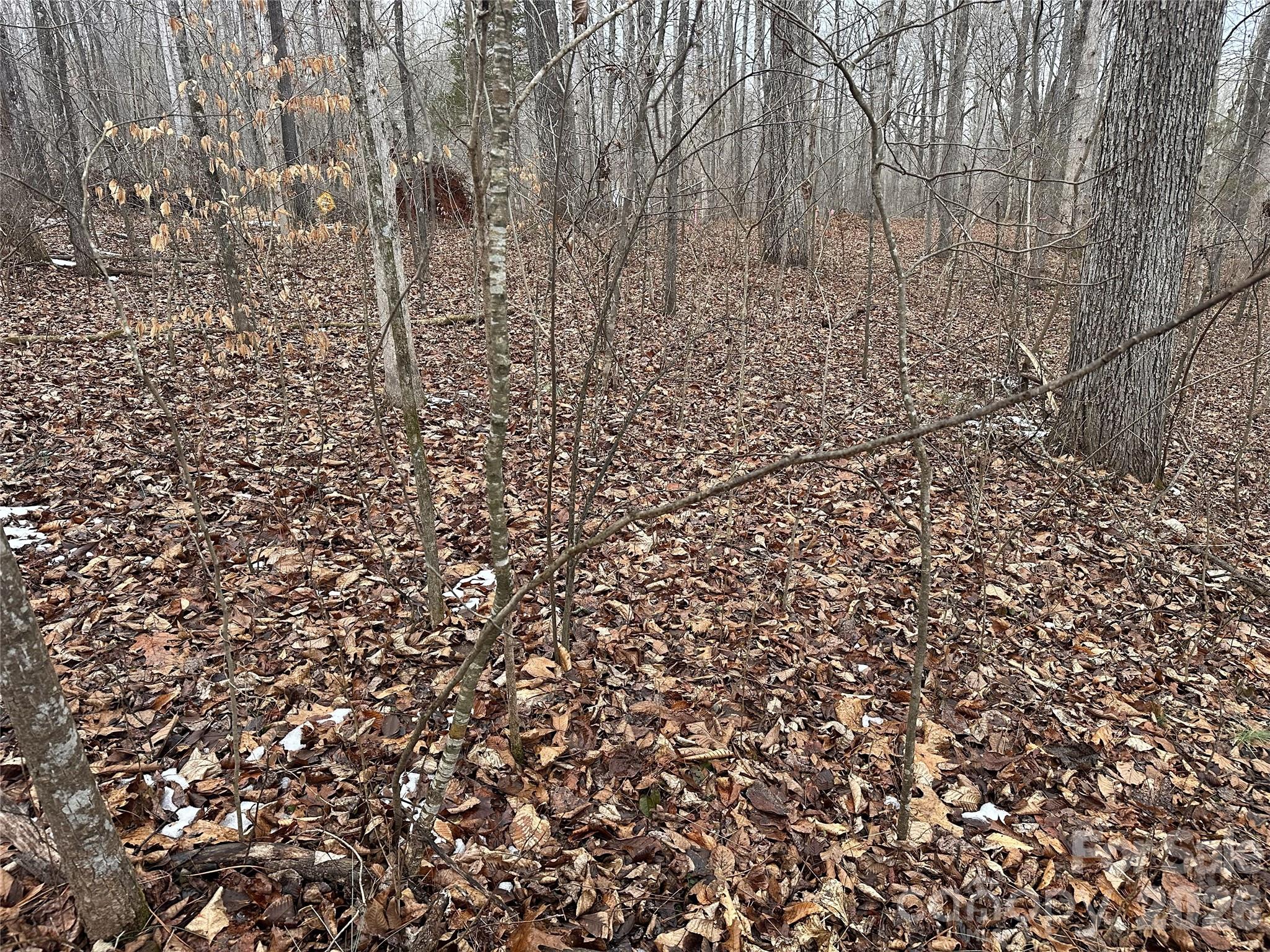 #167 Rolling Road Lincolnton NC 28092