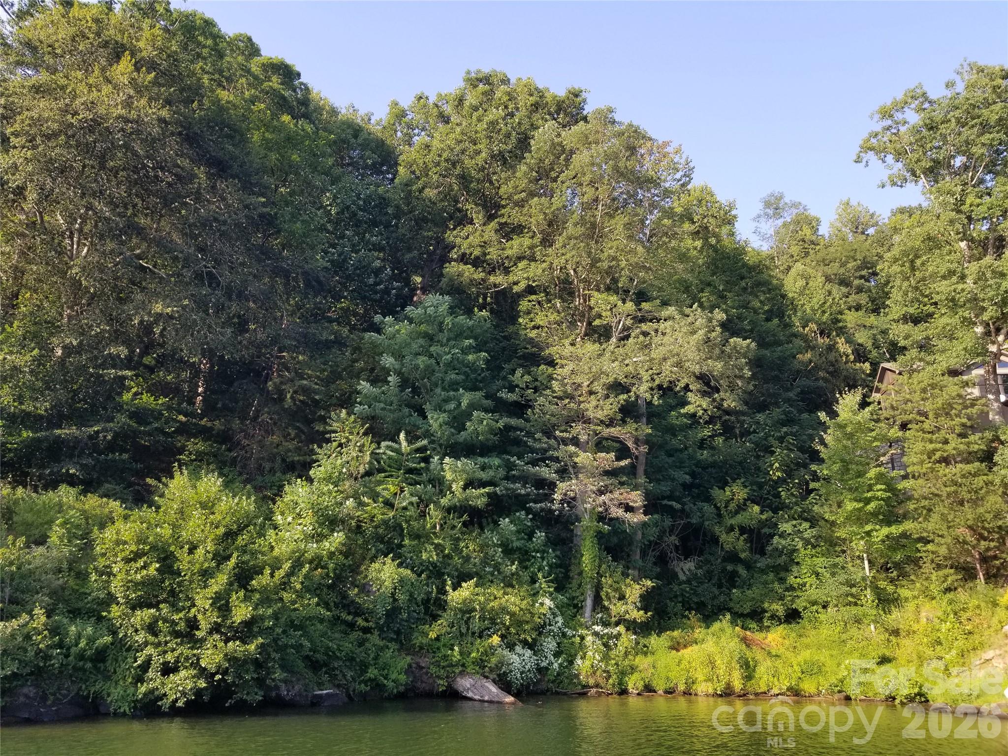 0 Chapel Point Road Lake Lure NC 28746