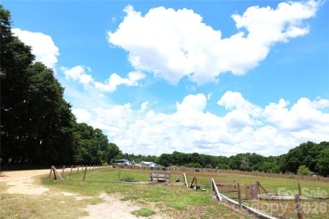 2121 Whitetail Road Blackville SC 29817