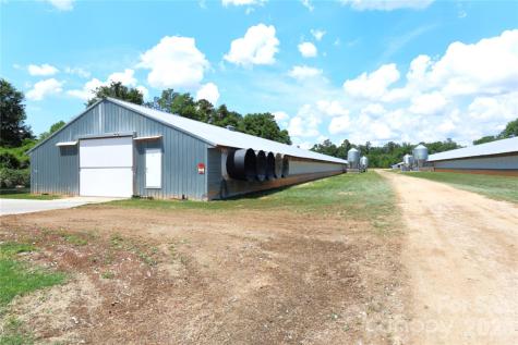 2121 Whitetail Road Blackville SC 29817