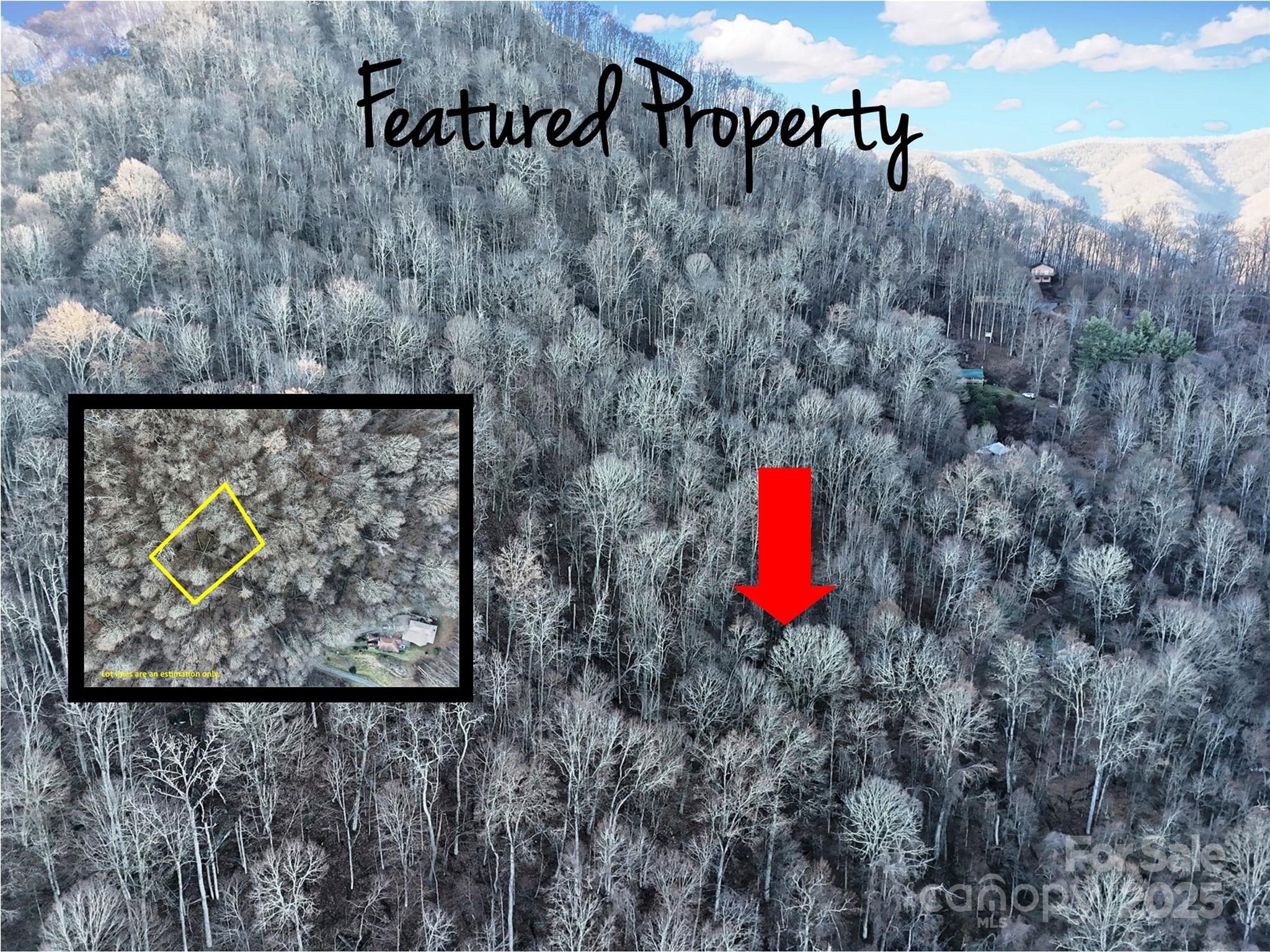 Tbd Vireo Lane Waynesville NC 28785