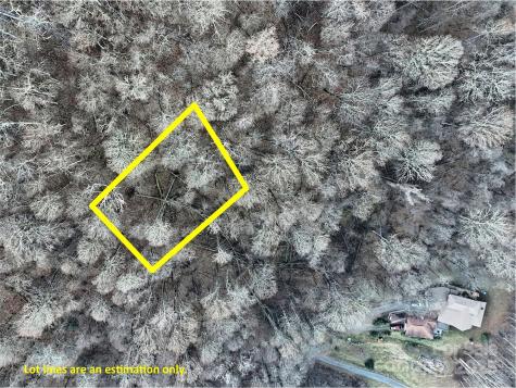 Tbd Vireo Lane Waynesville NC 28785