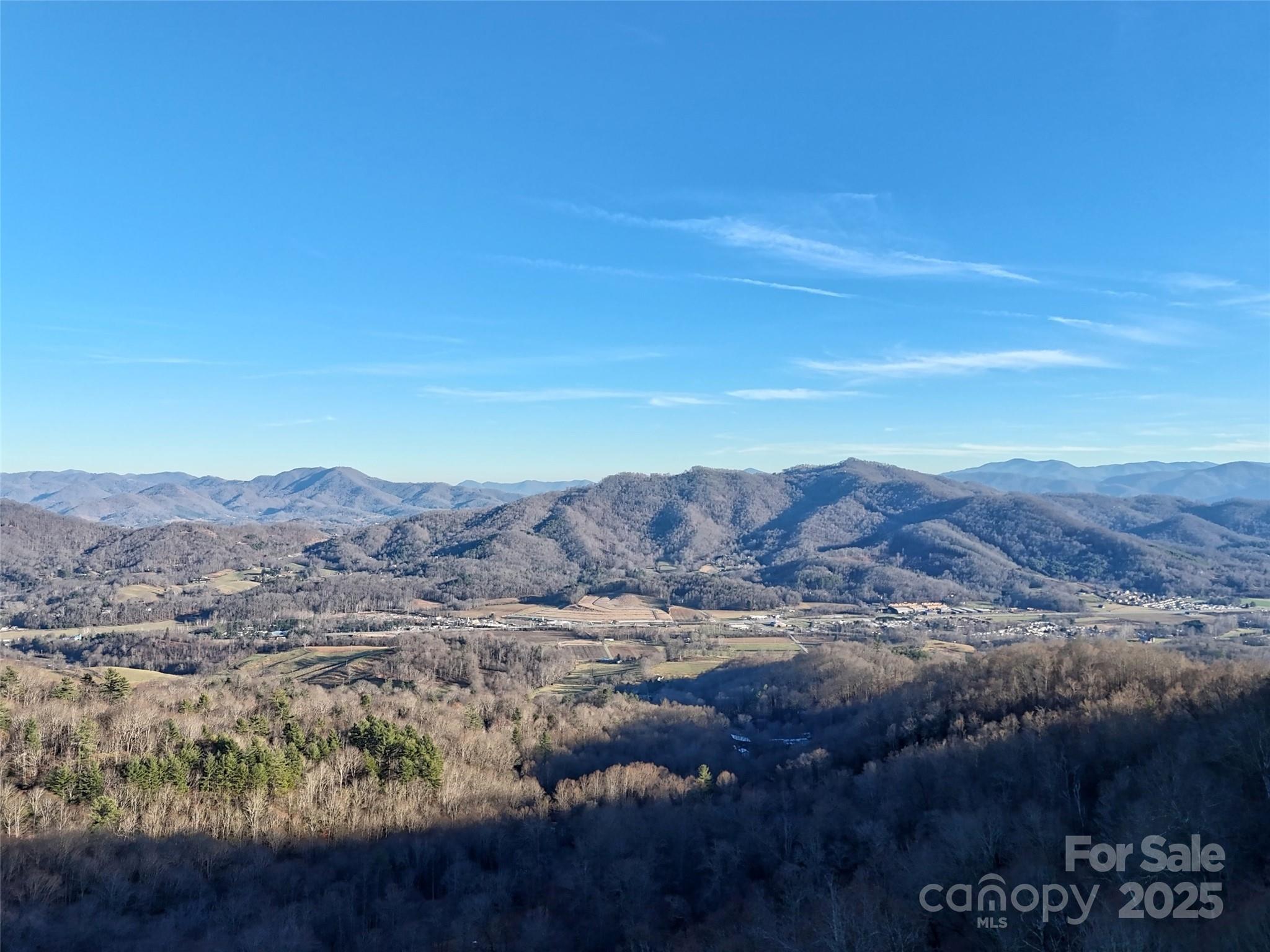 Tbd Vireo Lane Waynesville NC 28785