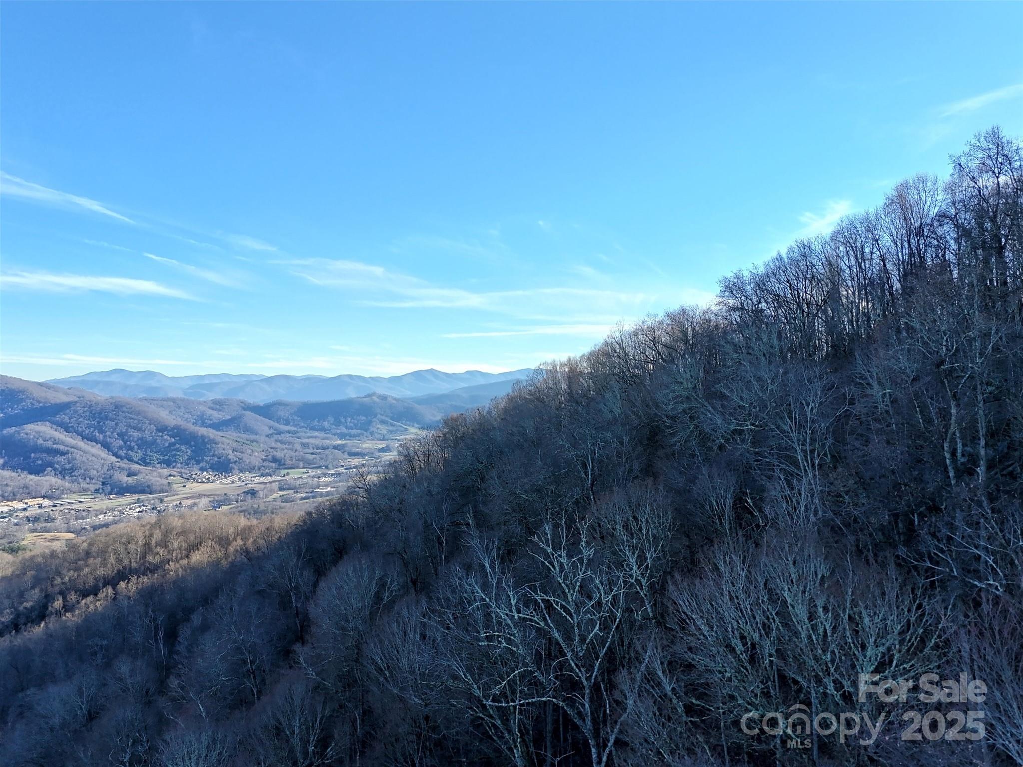 Tbd Vireo Lane Waynesville NC 28785