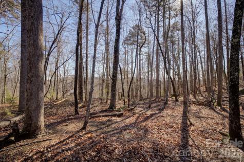 004 High Road Court Lake Lure NC 28746