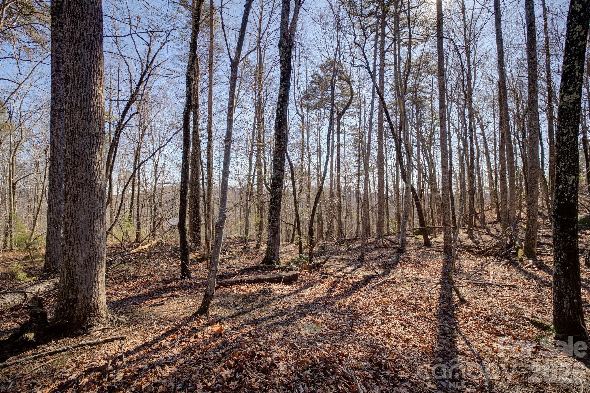 004 High Road Court Lake Lure NC 28746