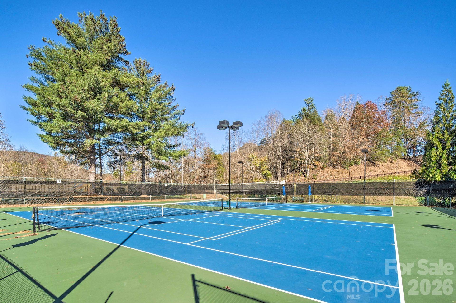 004 High Road Court Lake Lure NC 28746