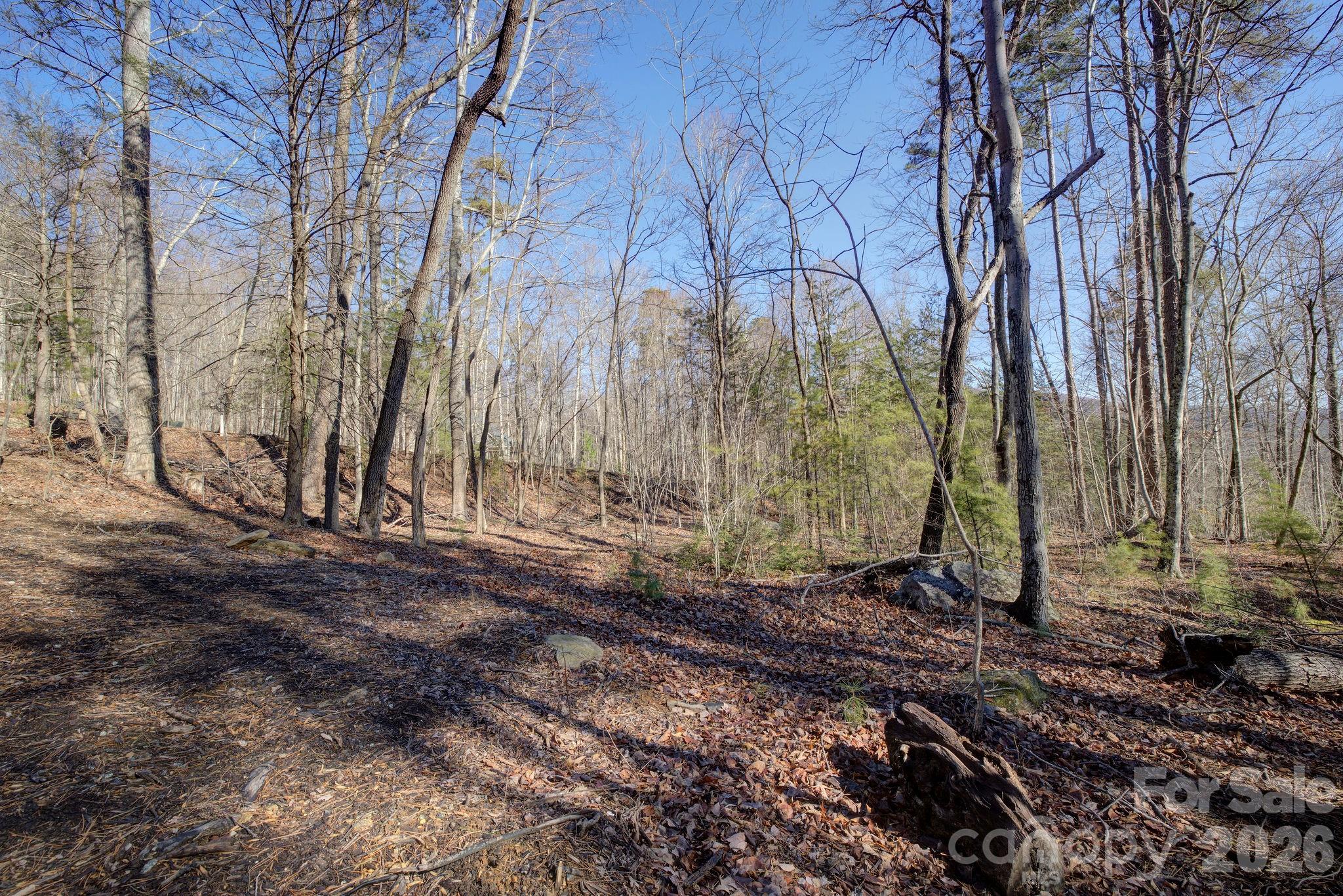 004 High Road Court Lake Lure NC 28746