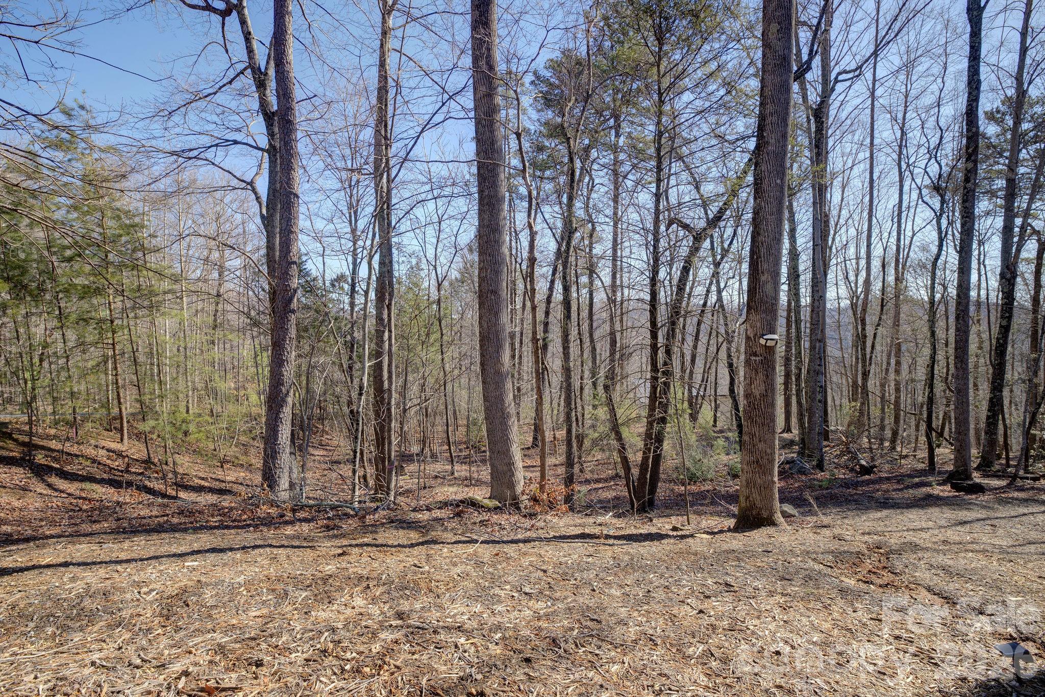 004 High Road Court Lake Lure NC 28746