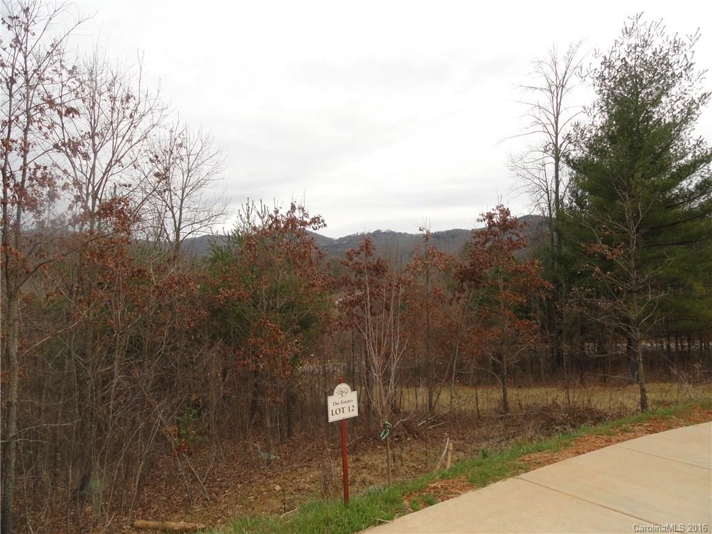 32 Versailles Lane Asheville NC 28804