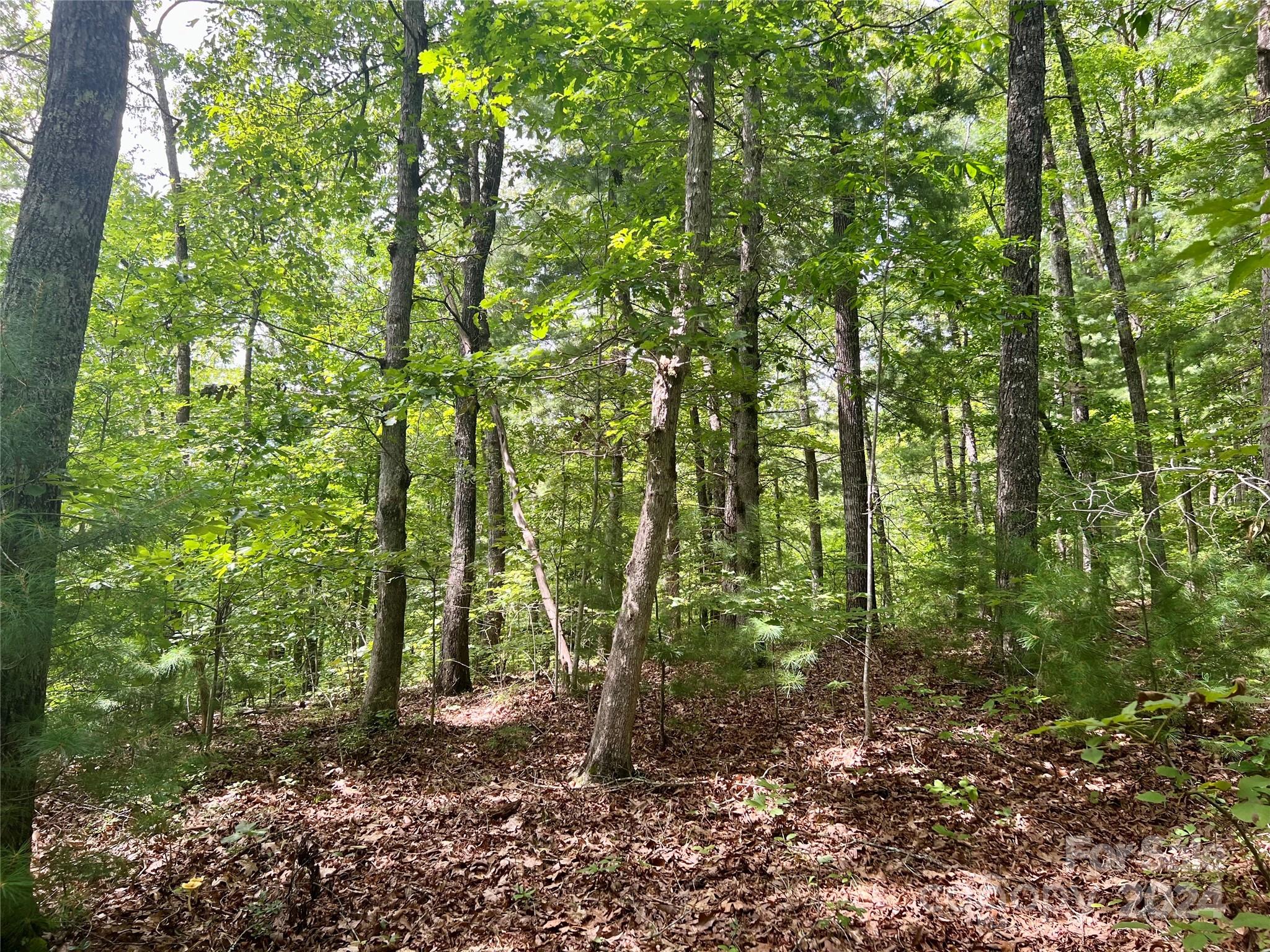 377 Jake Taylor Road Murphy NC 28906