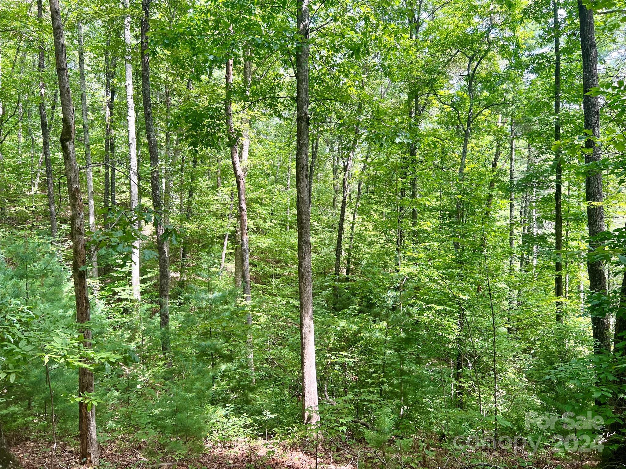 377 Jake Taylor Road Murphy NC 28906