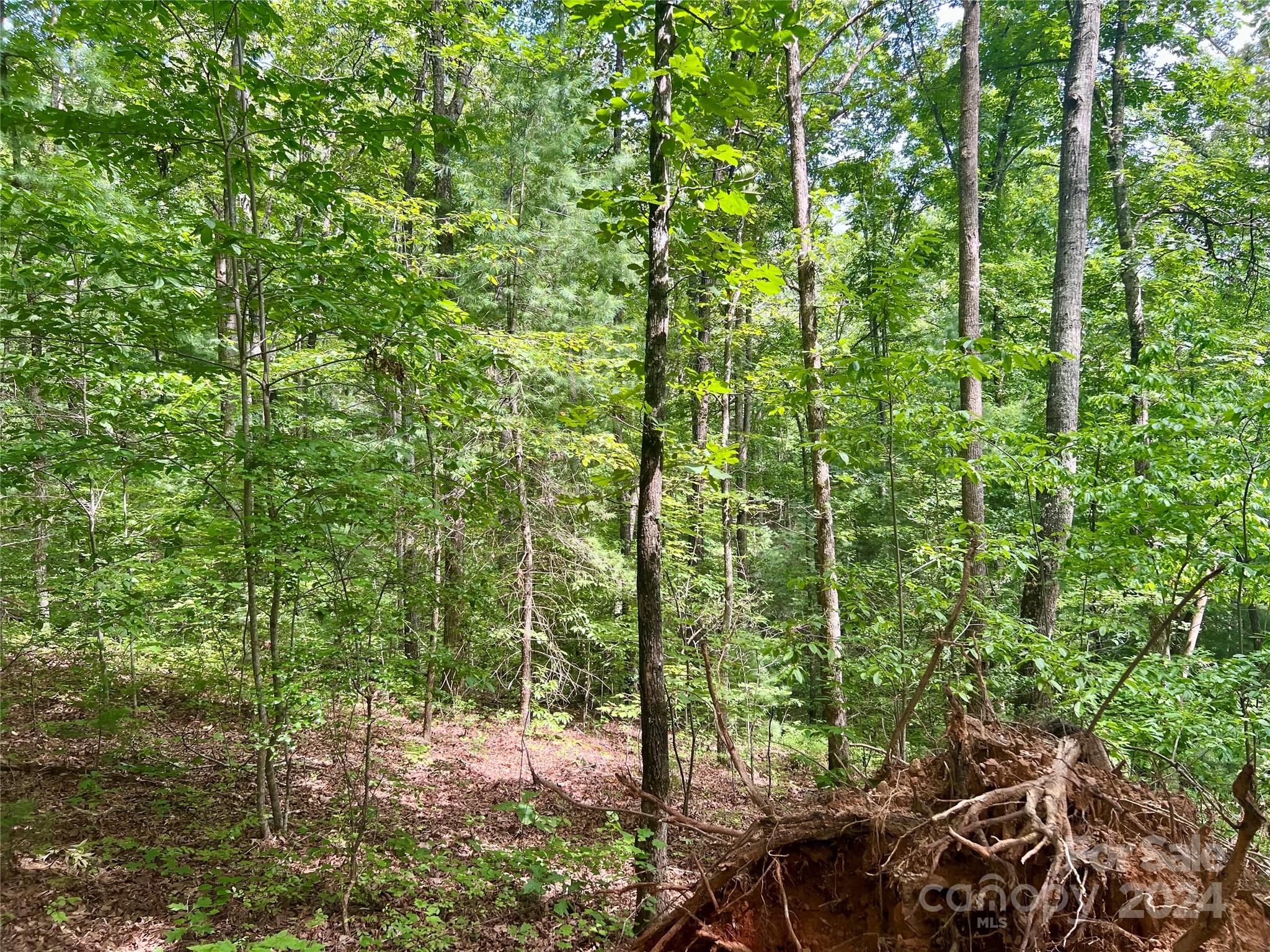 377 Jake Taylor Road Murphy NC 28906
