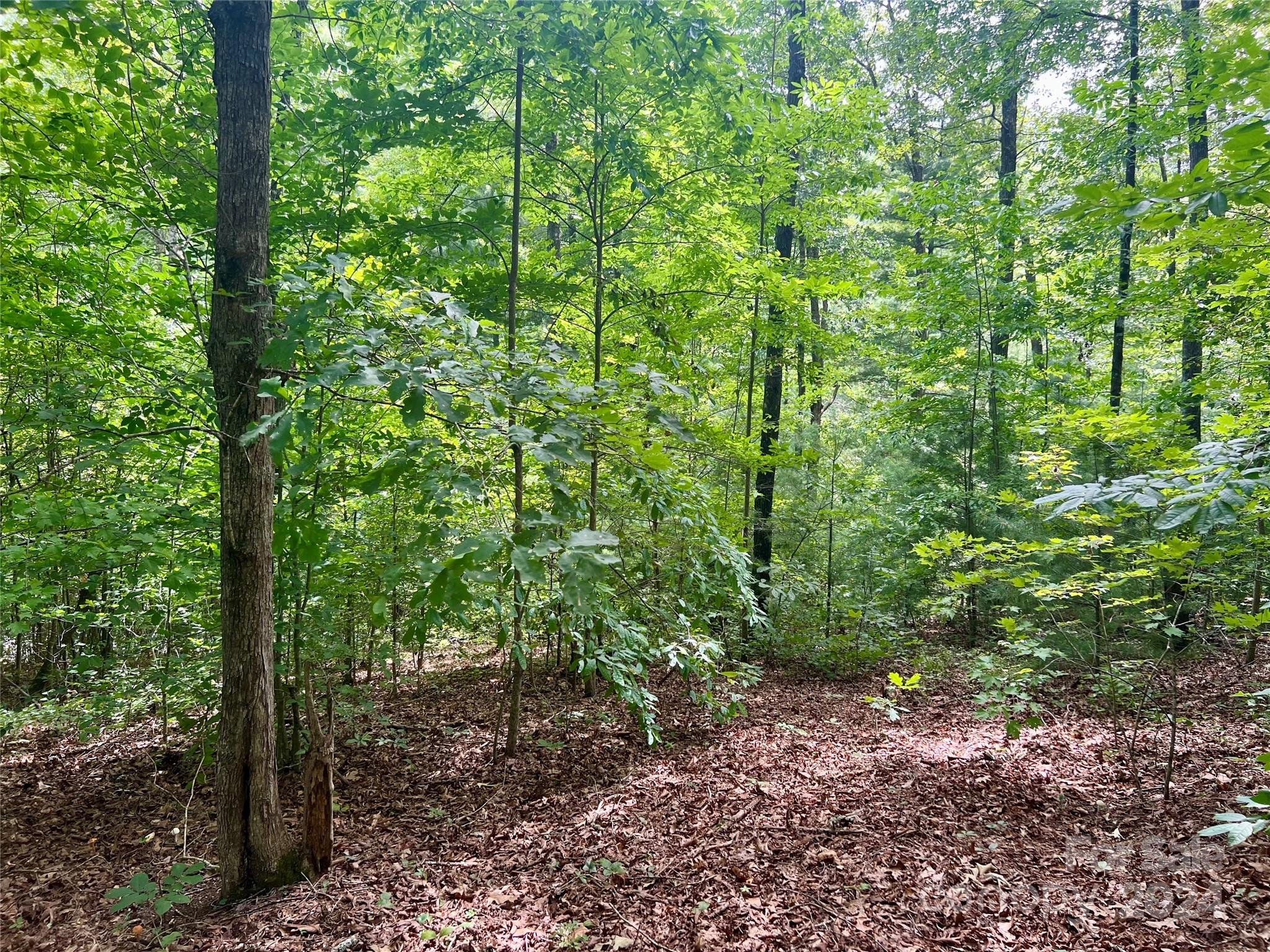 377 Jake Taylor Road Murphy NC 28906