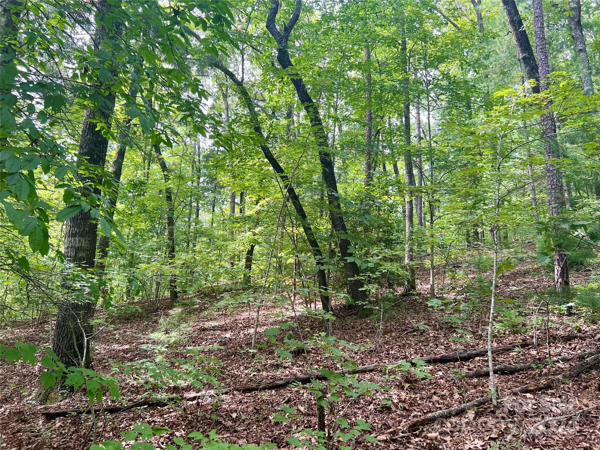 377 Jake Taylor Road Murphy NC 28906