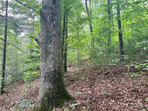377 Jake Taylor Road Murphy NC 28906