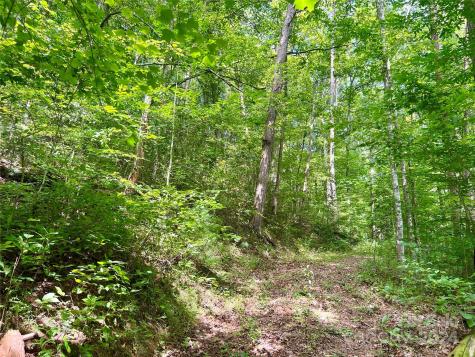 377 Jake Taylor Road Murphy NC 28906