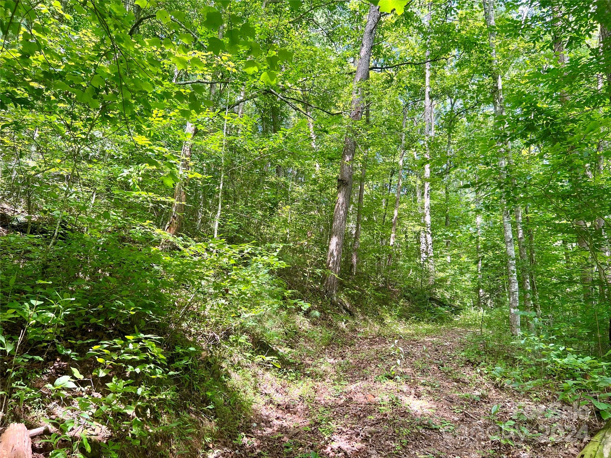 377 Jake Taylor Road Murphy NC 28906