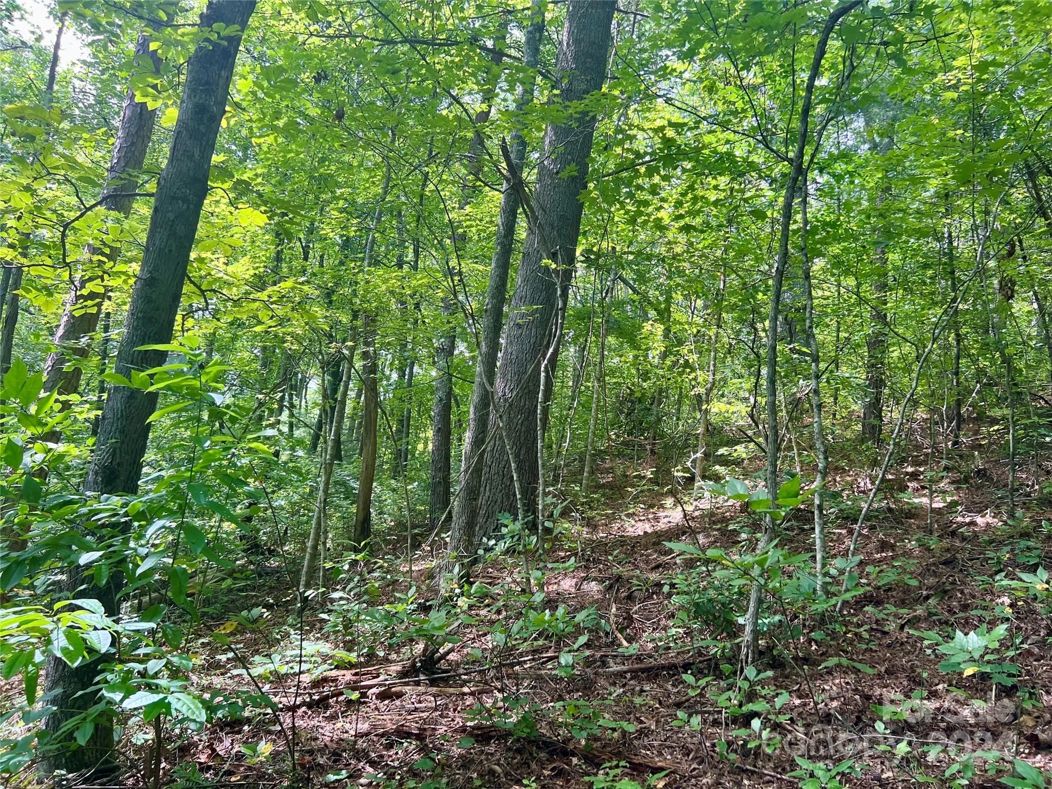 377 Jake Taylor Road Murphy NC 28906
