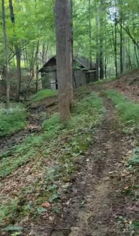 295 Bennett Branch Road Green Mountain NC 28740