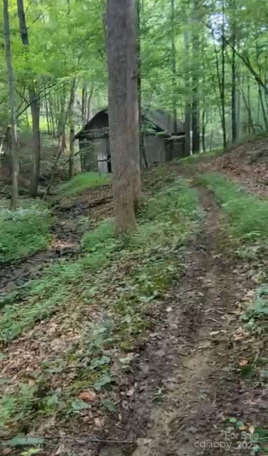 295 Bennett Branch Road Green Mountain NC 28740