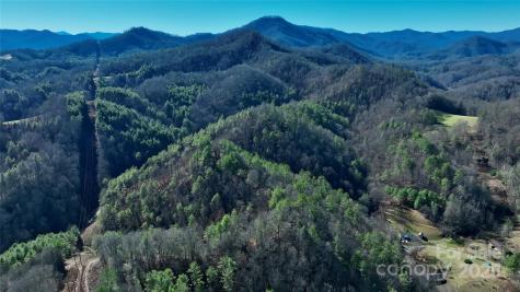 295 Bennett Branch Road Green Mountain NC 28740